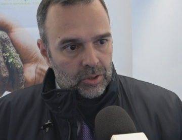 Linea Salerno–Avellino–Benevento, interrogazione di Pellegrino Mastella: “Chiarezza su tempi e cantieri nel Sannio”