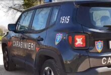 Torrioni, tagliò 30 querce e nascose 60 quintali di legna: 50enne denunciato dai Carabinieri Forestali