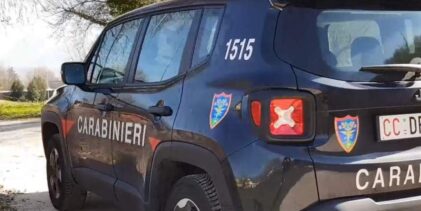 Torrioni, tagliò 30 querce e nascose 60 quintali di legna: 50enne denunciato dai Carabinieri Forestali