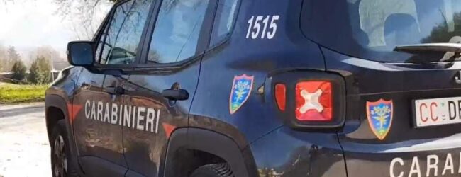 Torrioni, tagliò 30 querce e nascose 60 quintali di legna: 50enne denunciato dai Carabinieri Forestali