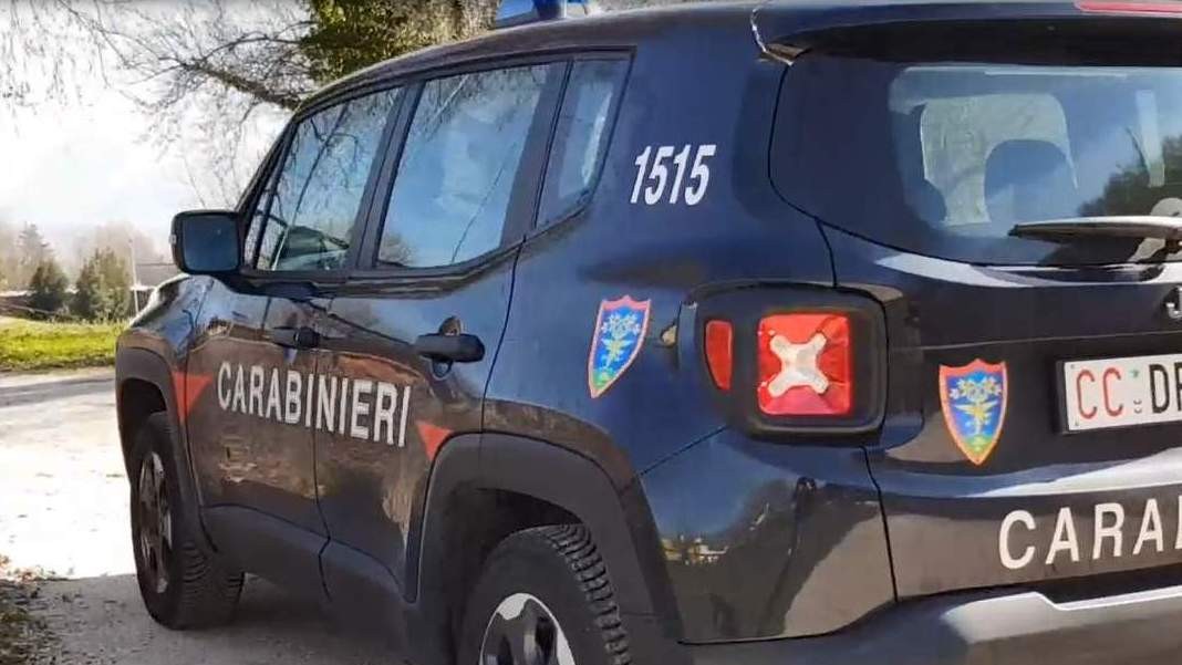 Torrioni, tagliò 30 querce e nascose 60 quintali di legna: 50enne denunciato dai Carabinieri Forestali