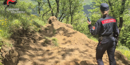 Monteforte Irpino, i Carabinieri denunciano un 35enne per abusivismo edilizio