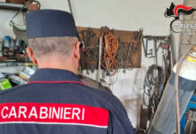 Avellino, controlli su ambiente e abusivismo edilizio: tre persone denunciate dai Carabinieri