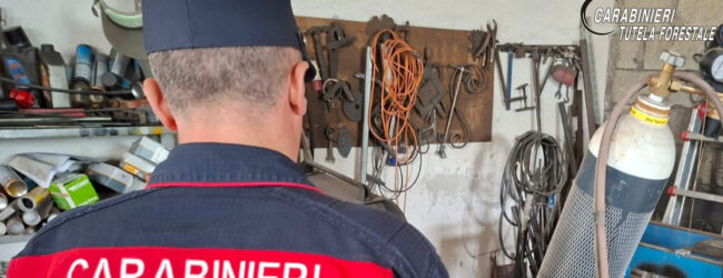Avellino, controlli su ambiente e abusivismo edilizio: tre persone denunciate dai Carabinieri