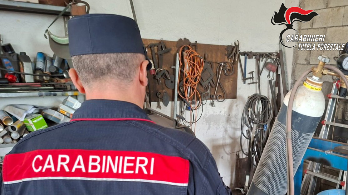 Avellino, controlli su ambiente e abusivismo edilizio: tre persone denunciate dai Carabinieri