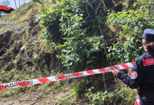 Monteforte Irpino, distrutto un bosco ceduo di circa 15000 metri quadrati: denunciato dai Carabinieri il responsabile