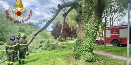 Avellino, albero pericolante al Parco Santo Spirito: intervento dei Vigili del Fuoco