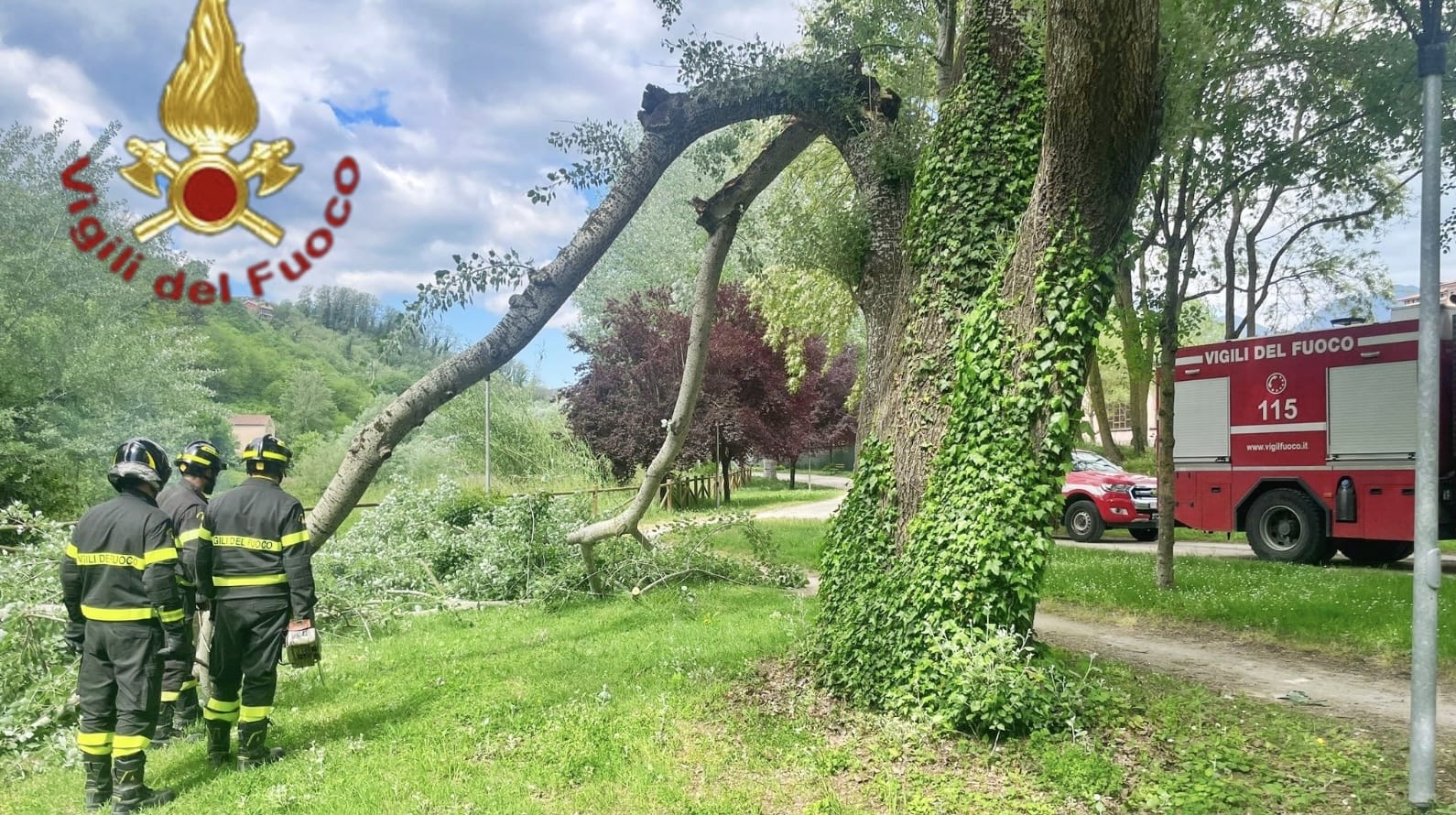 Avellino, albero pericolante al Parco Santo Spirito: intervento dei Vigili del Fuoco