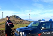 Provincia di Benevento, controlli dei Carabinieri nel settore agricolo: sanzioni e verifiche