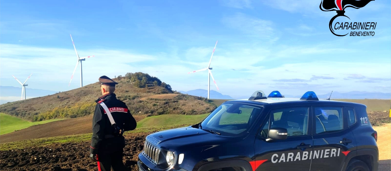 Provincia di Benevento, controlli dei Carabinieri nel settore agricolo: sanzioni e verifiche