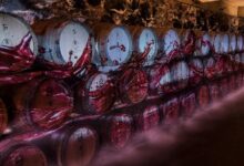 “Cantine Aperte”: Donnachiara apre le porte a un’esperienza tra vino, arte e convivialità