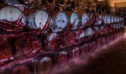 “Cantine Aperte”: Donnachiara apre le porte a un’esperienza tra vino, arte e convivialità