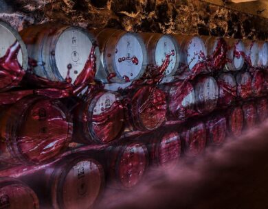 “Cantine Aperte”: Donnachiara apre le porte a un’esperienza tra vino, arte e convivialità