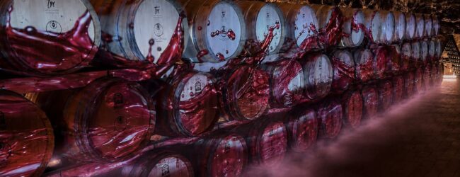 “Cantine Aperte”: Donnachiara apre le porte a un’esperienza tra vino, arte e convivialità