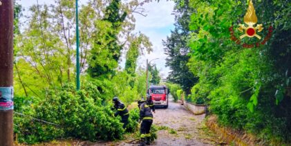 Maltempo in Irpinia, numerosi interventi dei Vigili del Fuoco per alberi pericolanti