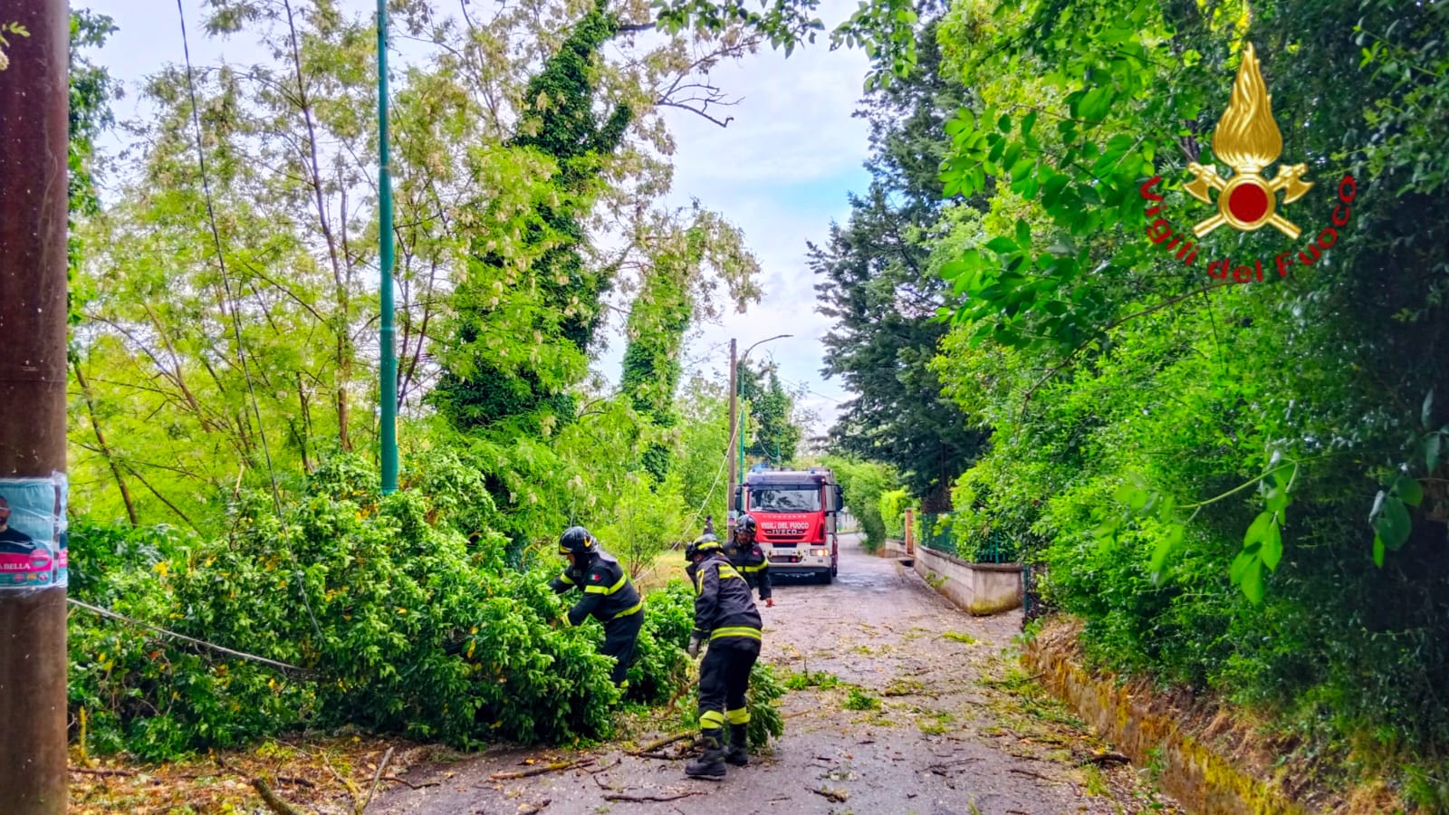 Maltempo in Irpinia, numerosi interventi dei Vigili del Fuoco per alberi pericolanti