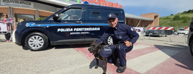 “4 Zampe al Buonvento”, grande successo per la prima giornata: protagonisti gli uomini e i cani della Polizia Penitenziaria