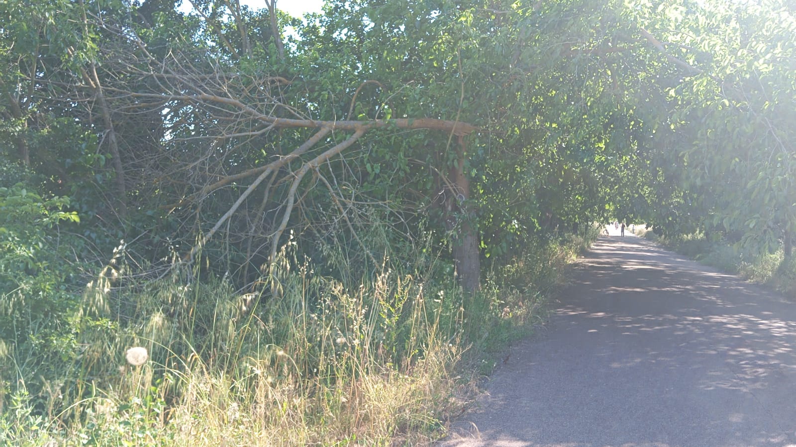 IMG-20260524-WA0022