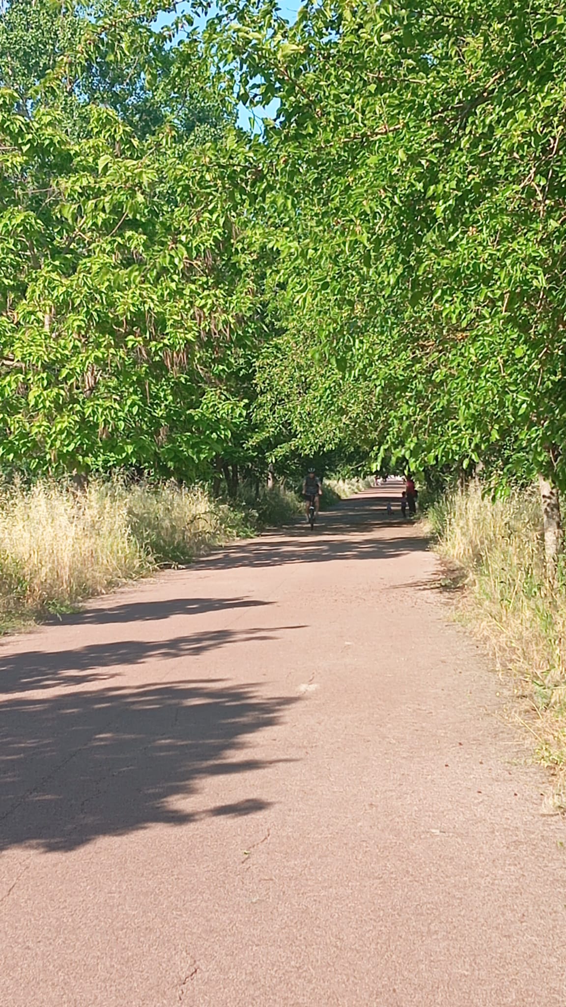 IMG-20260524-WA0033