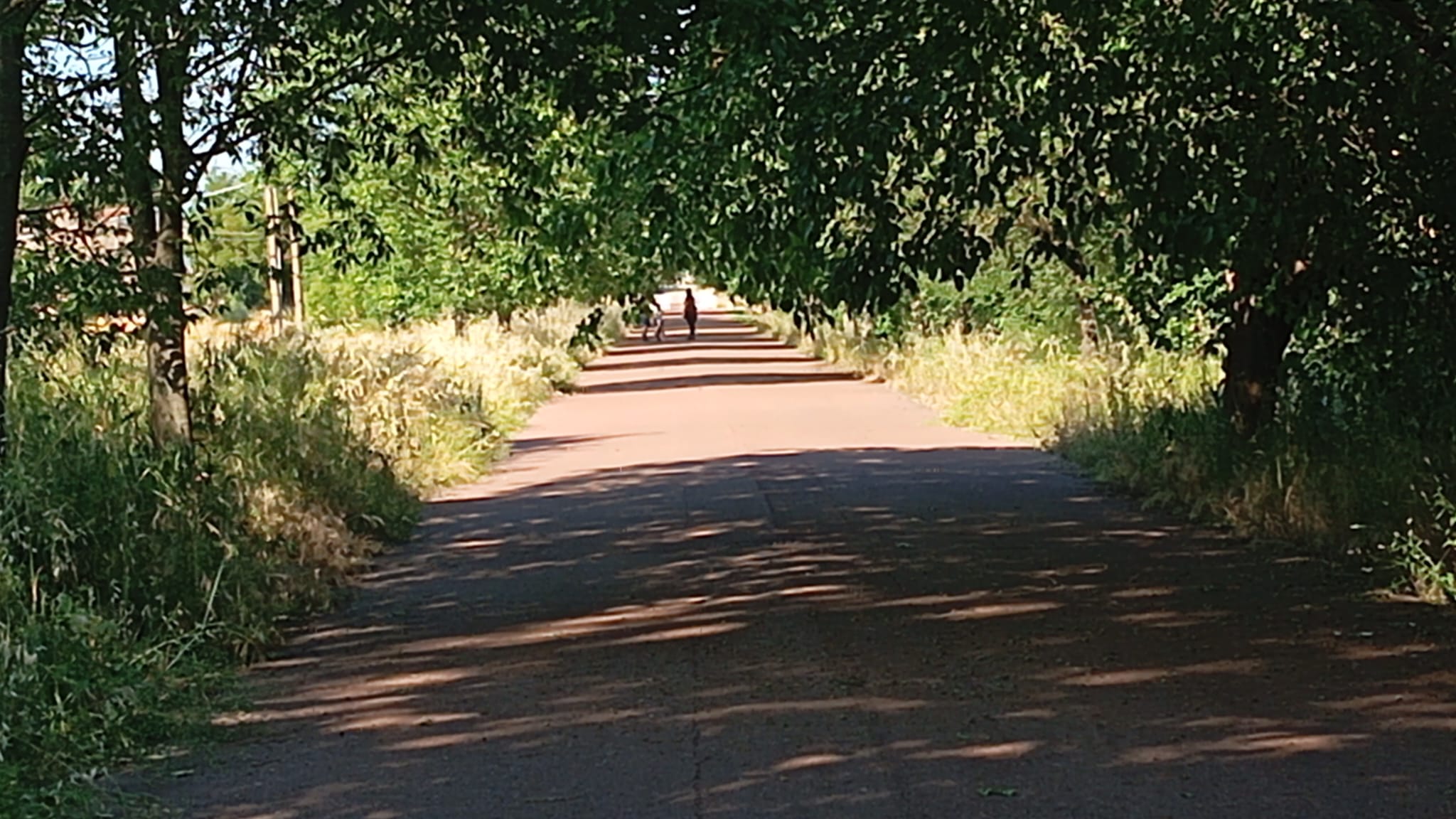IMG-20260524-WA0035