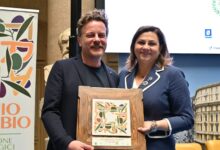 Molinara, premio all’olio Elaios: primo posto all’Extrabio della Regione Campania