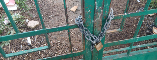 Benevento, allarme per la colonia felina dell’ex scuola Silvio Pellico: presentato un esposto della LAV