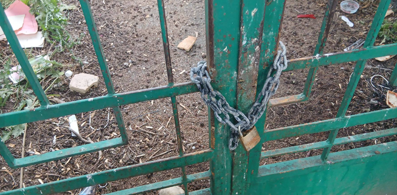 Benevento, allarme per la colonia felina dell’ex scuola Silvio Pellico: presentato un esposto della LAV