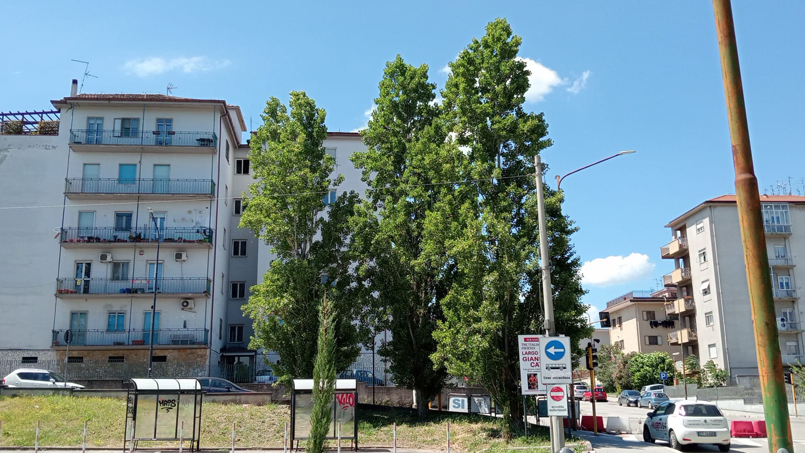 Via Mustilli e quegli alberi da potare