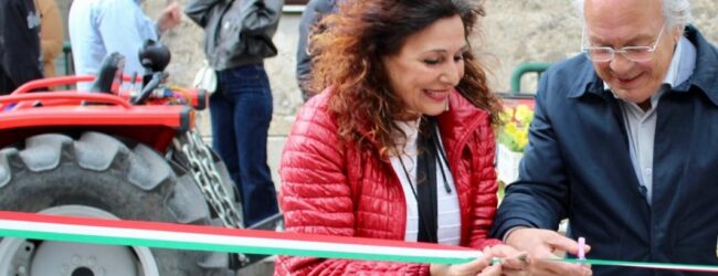 Solopaca fiorisce: cittadini, associazioni e ragazzi insieme per coltivare bellezza e inclusione
