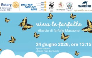 “Viva le Farfalle” domani il rilascio di esemplari di Macaone all’Apiario Urbano