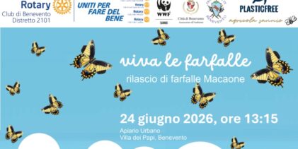“Viva le Farfalle” domani il rilascio di esemplari di Macaone all’Apiario Urbano
