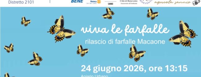 “Viva le Farfalle” domani il rilascio di esemplari di Macaone all’Apiario Urbano
