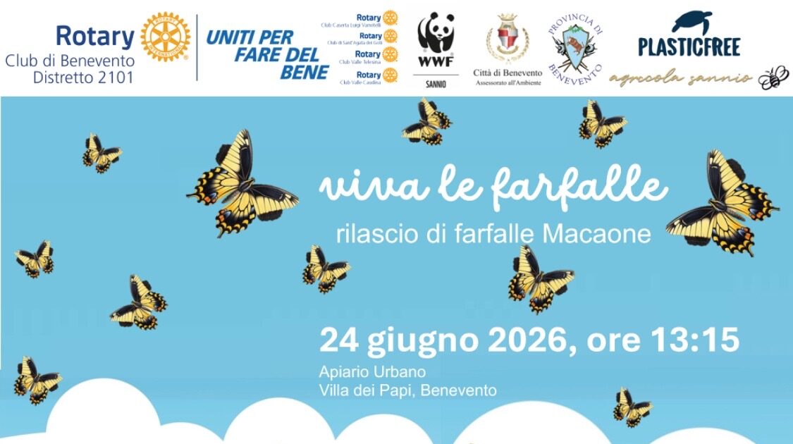 “Viva le Farfalle” domani il rilascio di esemplari di Macaone all’Apiario Urbano