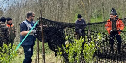 Emergenza cinghiali in Irpinia: l’Asl in campo con teleselezione, telenarcosi ed eutanasia per garantire la sicurezza pubblica