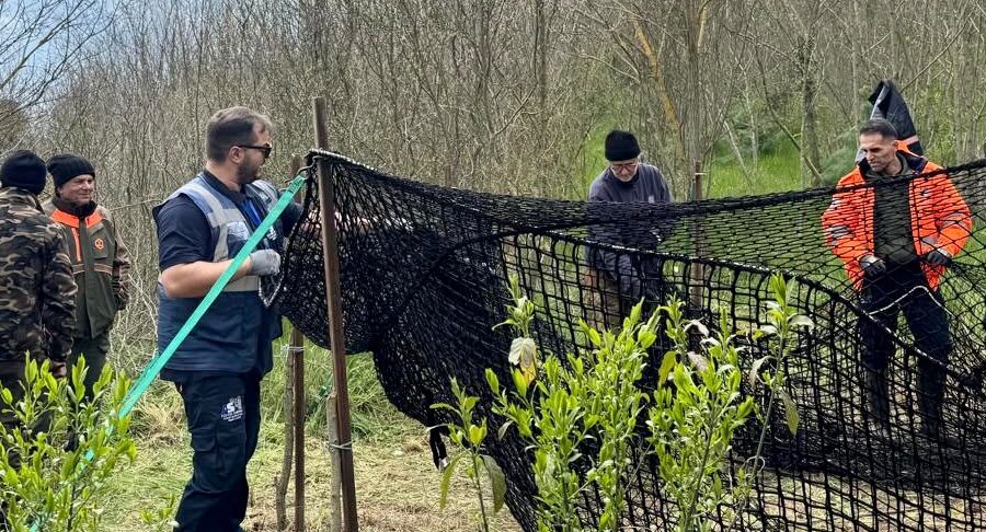 Emergenza cinghiali in Irpinia: l’Asl in campo con teleselezione, telenarcosi ed eutanasia per garantire la sicurezza pubblica