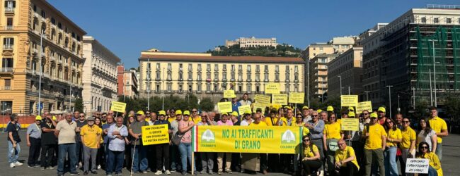 Coldiretti Avellino in piazza a Napoli: allarme per le filiere del grano e dell’olio. Barbati: Prodotti strategici per l’Irpinia con  prezzi sotto i costi di produzione