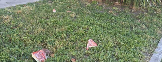 Viale San Lorenzo, scatta la segnalazione e la denuncia alla Forestale: polvere avvelenata sul cibo per animali ?