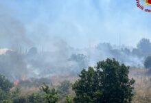 Incendio di vegetazione a Caserta Vecchia: in campo anche i Vigili del Fuoco di Avellino