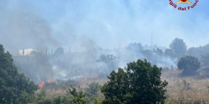 Incendio di vegetazione a Caserta Vecchia: in campo anche i Vigili del Fuoco di Avellino