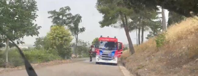 Fulmine colpisce un campo di grano: incendio devasta il raccolto alle porte di Benevento