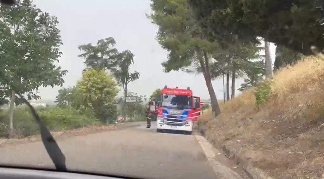 Fulmine colpisce un campo di grano: incendio devasta il raccolto alle porte di Benevento