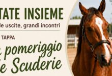 “Estate Insieme”: grande successo a San Nicola Manfredi per il pomeriggio alle scuderie