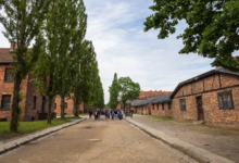 Custodi di una memoria viva: l’IIS “Alberti-Virgilio” selezionato dal MIM per il viaggio ad Auschwitz