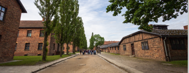 Custodi di una memoria viva: l’IIS “Alberti-Virgilio” selezionato dal MIM per il viaggio ad Auschwitz