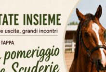 Al via il progetto del Rotaract Club di Benevento ‘Estate Insieme – Piccole uscite, grandi incontri’ dedicato all’inclusione e alla socialità