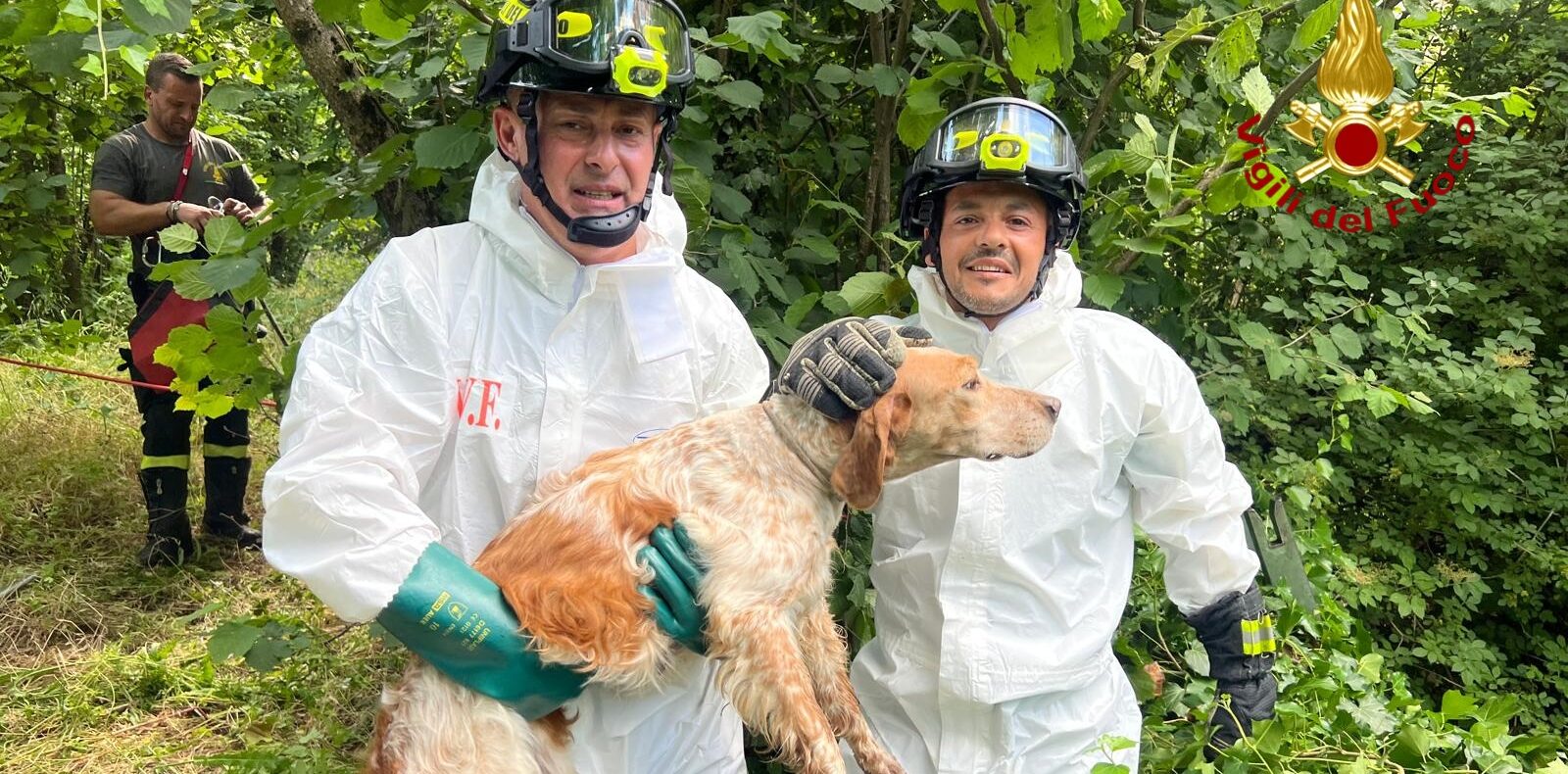 Avellino, cane finisce nel Torrente San Francesco: salvato dai Vigili del Fuoco