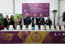 Vinitaly e Napoli Racing Show, insieme per “vini e oli della Magna Grecia”