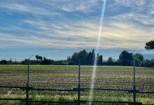 Agricoltura, report Confeuro: Benevento tiene sulla SAU ma pesa il calo delle aziende. Tiso: «Servono giovani e investimenti»