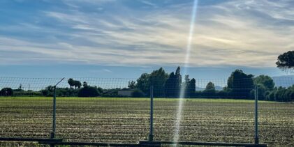 Agricoltura, report Confeuro: Benevento tiene sulla SAU ma pesa il calo delle aziende. Tiso: «Servono giovani e investimenti»