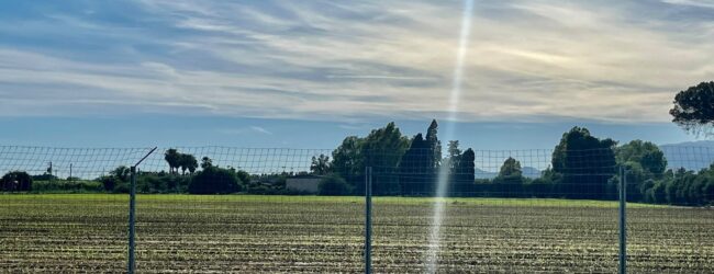 Agricoltura, report Confeuro: Benevento tiene sulla SAU ma pesa il calo delle aziende. Tiso: «Servono giovani e investimenti»